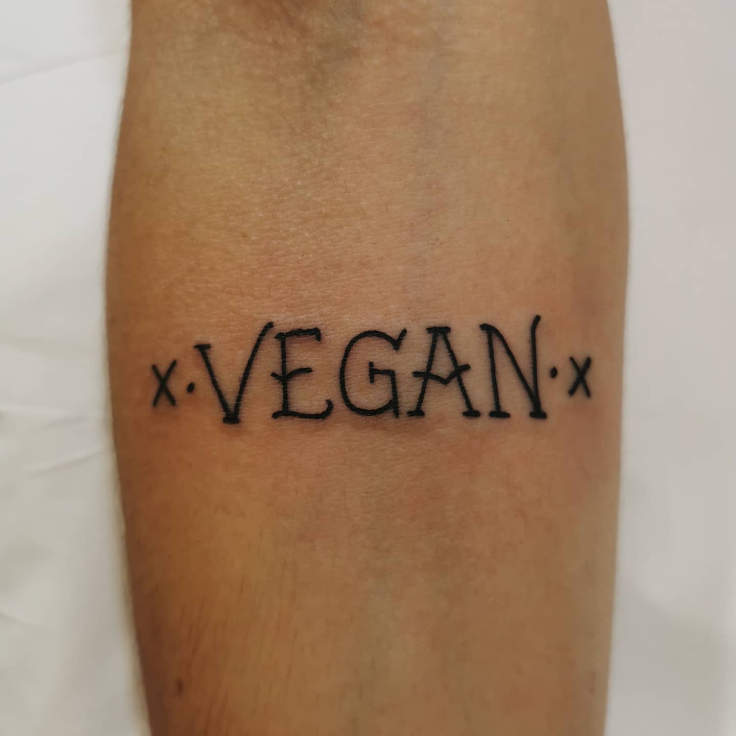 39 Impressive Vegan Tattoo Ideas [2024 Inspiration Guide]